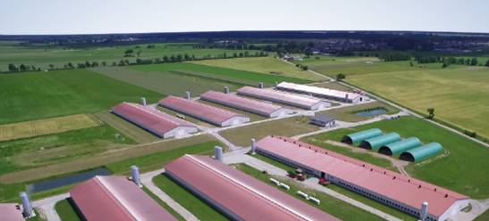 duże hale, widok z lotu ptaka
